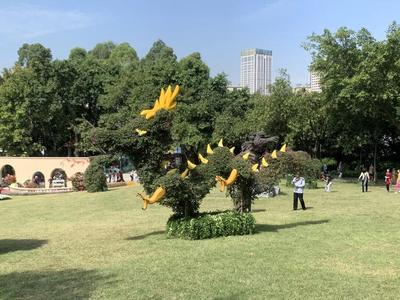 微信图片_20191111090310.jpg